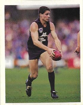 1993 Select AFL Stickers #53 Ron De Iulio Front